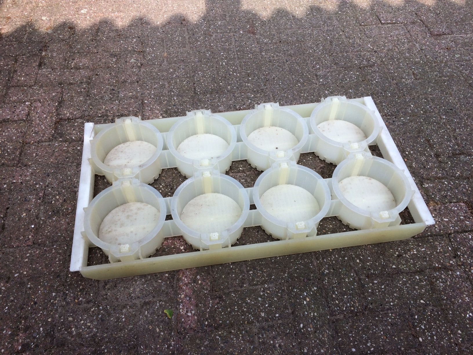 Cheese mould (8 round cheeses)